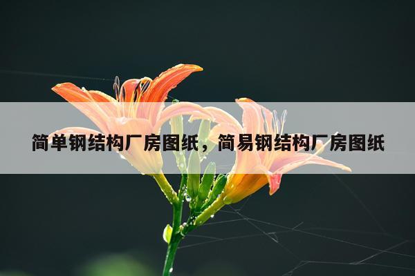 简单钢结构厂房图纸，简易钢结构厂房图纸