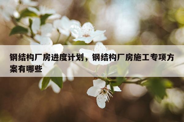 钢结构厂房进度计划，钢结构厂房施工专项方案有哪些