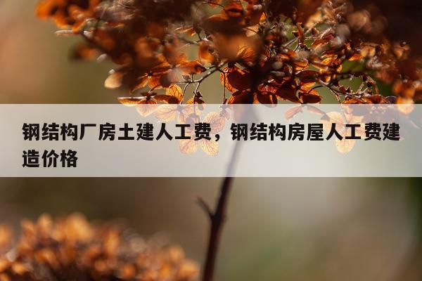 钢结构厂房土建人工费，钢结构房屋人工费建造价格