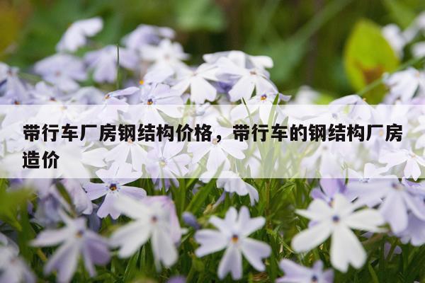 带行车厂房钢结构价格，带行车的钢结构厂房造价