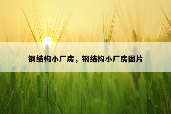 钢结构小厂房，钢结构小厂房图片