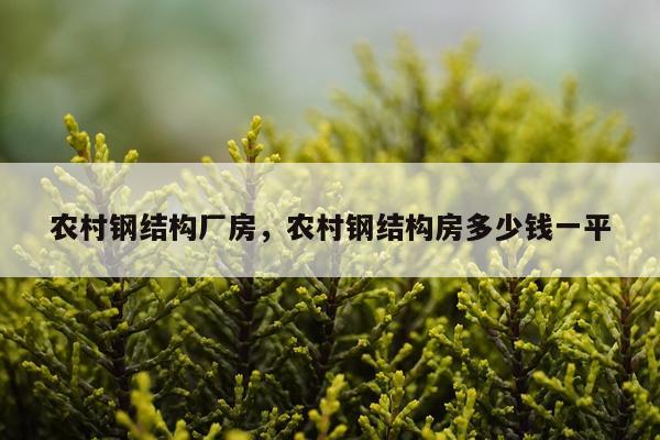 农村钢结构厂房，农村钢结构房多少钱一平