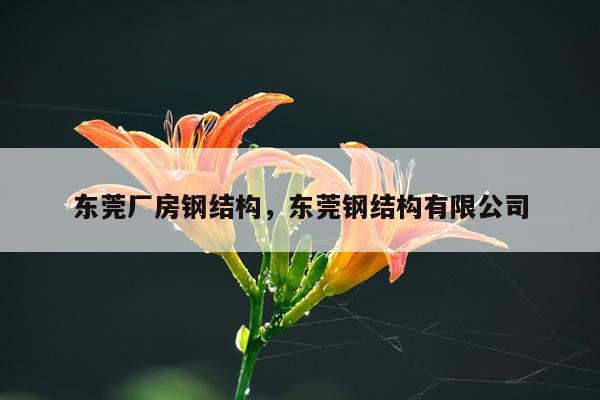 东莞厂房钢结构，东莞钢结构有限公司