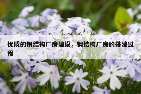 优质的钢结构厂房建设，钢结构厂房的搭建过程