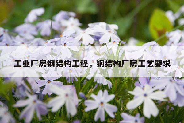 工业厂房钢结构工程，钢结构厂房工艺要求