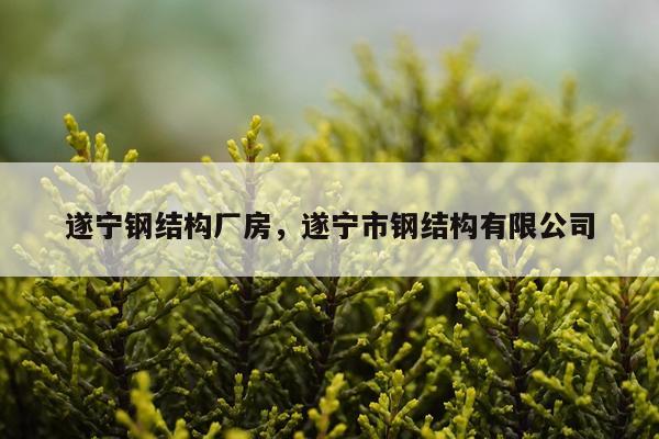 遂宁钢结构厂房，遂宁市钢结构有限公司