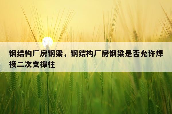 钢结构厂房钢梁，钢结构厂房钢梁是否允许焊接二次支撑柱