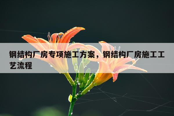 钢结构厂房专项施工方案，钢结构厂房施工工艺流程