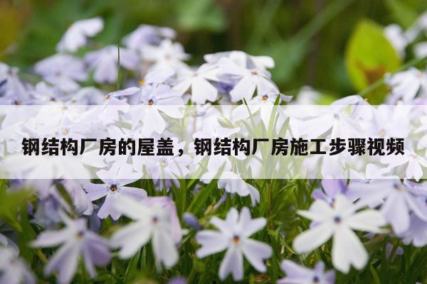 钢结构厂房的屋盖，钢结构厂房施工步骤视频