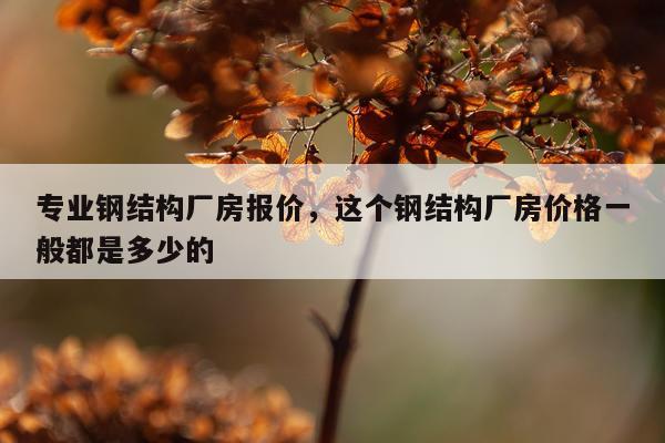 专业钢结构厂房报价，这个钢结构厂房价格一般都是多少的