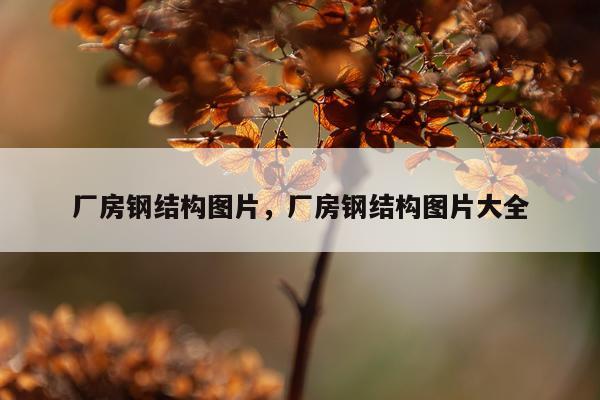 厂房钢结构图片，厂房钢结构图片大全