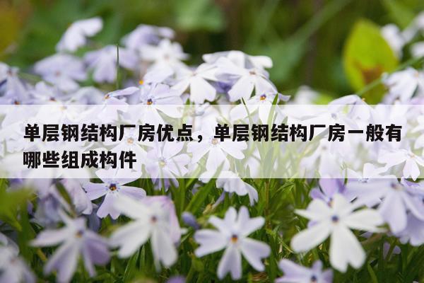 单层钢结构厂房优点，单层钢结构厂房一般有哪些组成构件