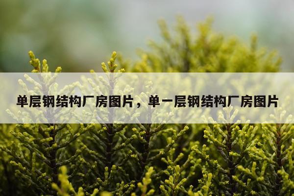 单层钢结构厂房图片，单一层钢结构厂房图片