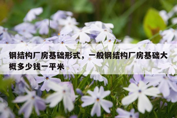 钢结构厂房基础形式，一般钢结构厂房基础大概多少钱一平米