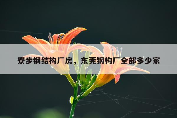 寮步钢结构厂房，东莞钢构厂全部多少家
