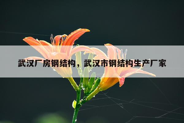 武汉厂房钢结构，武汉市钢结构生产厂家