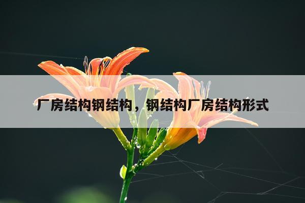 厂房结构钢结构，钢结构厂房结构形式