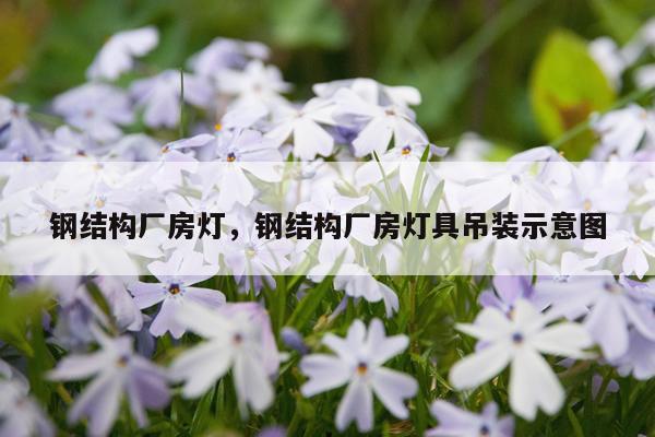 钢结构厂房灯，钢结构厂房灯具吊装示意图