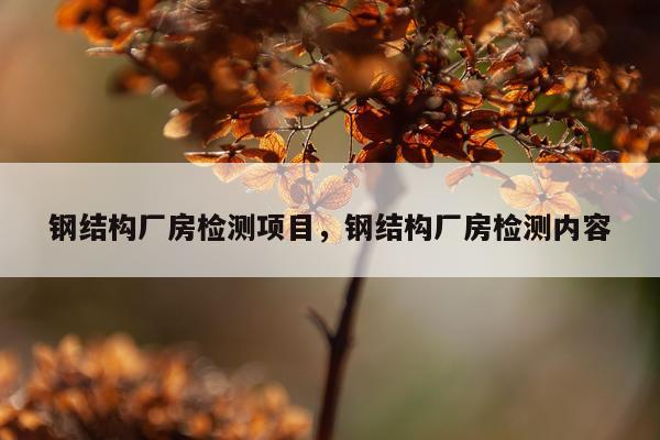 钢结构厂房检测项目，钢结构厂房检测内容