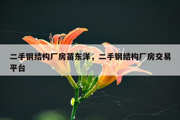 二手钢结构厂房苗东洋，二手钢结构厂房交易平台