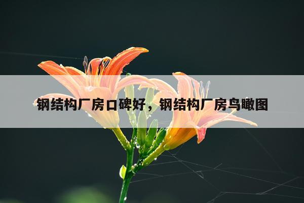 钢结构厂房口碑好，钢结构厂房鸟瞰图
