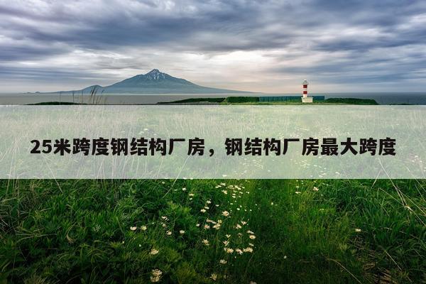 25米跨度钢结构厂房，钢结构厂房最大跨度