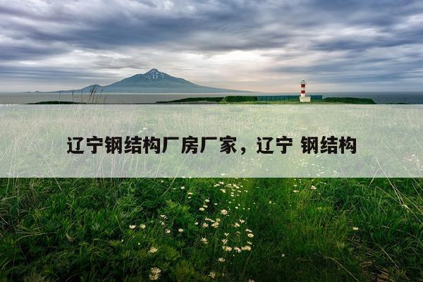 辽宁钢结构厂房厂家，辽宁 钢结构