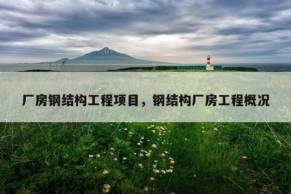 厂房钢结构工程项目，钢结构厂房工程概况