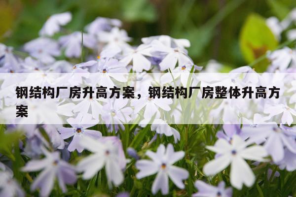 钢结构厂房升高方案，钢结构厂房整体升高方案