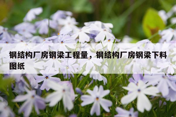 钢结构厂房钢梁工程量，钢结构厂房钢梁下料图纸