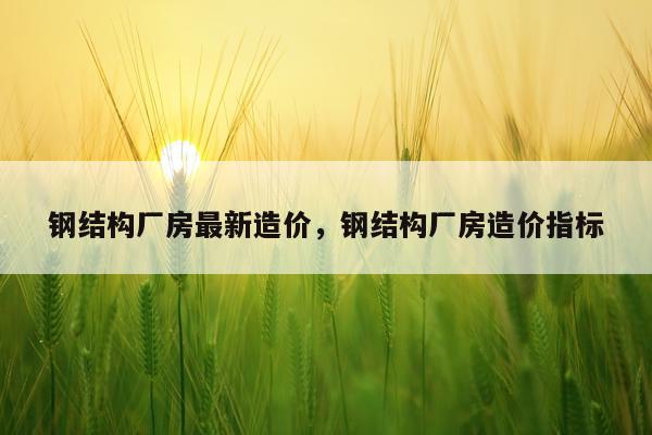 钢结构厂房最新造价，钢结构厂房造价指标