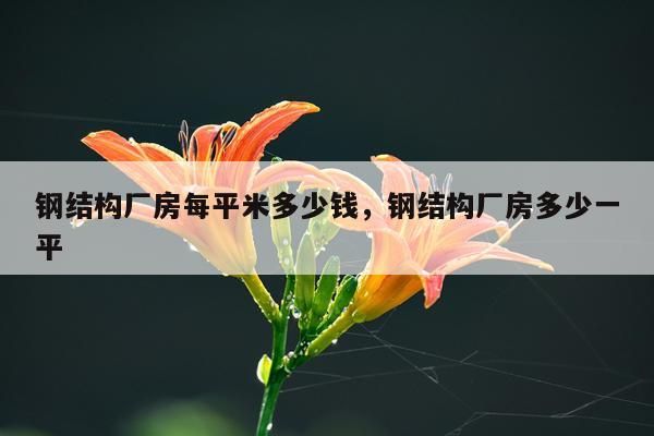 钢结构厂房每平米多少钱，钢结构厂房多少一平